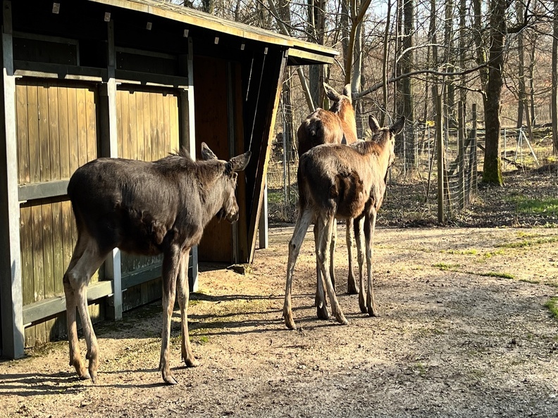 23-02-13 14-28-32 4225.jpeg